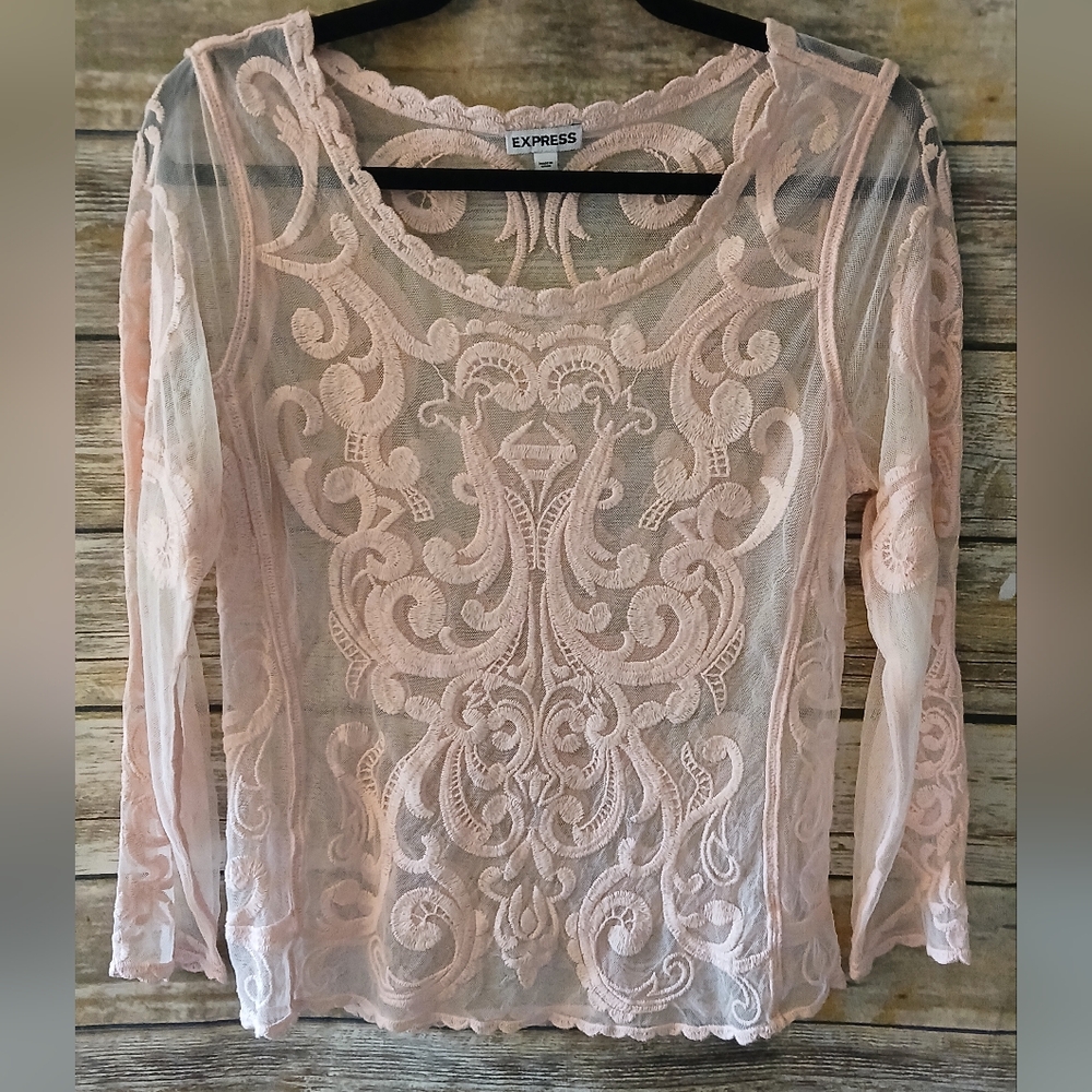 Express Pink Lace Long Sleeve Blush Pink Women Top, Sheer - Picture 4 of 14